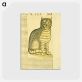 アートポストカード-De cato seu fele
 - 国立医学図書館 Postcard.