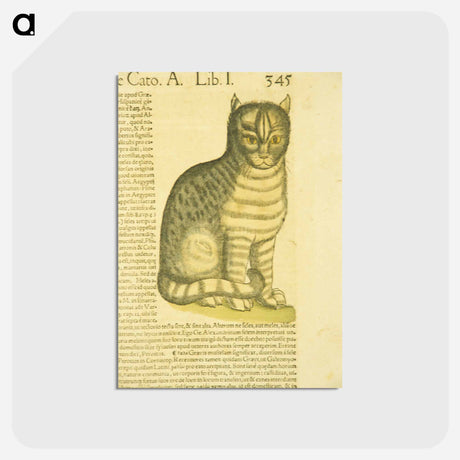 アートポストカード-De cato seu fele
 - 国立医学図書館 Postcard.