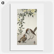 2-6_Ohara-Koson_picture