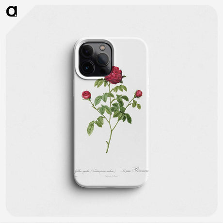 2-6_Pierre-Joseph-Redoute_phone