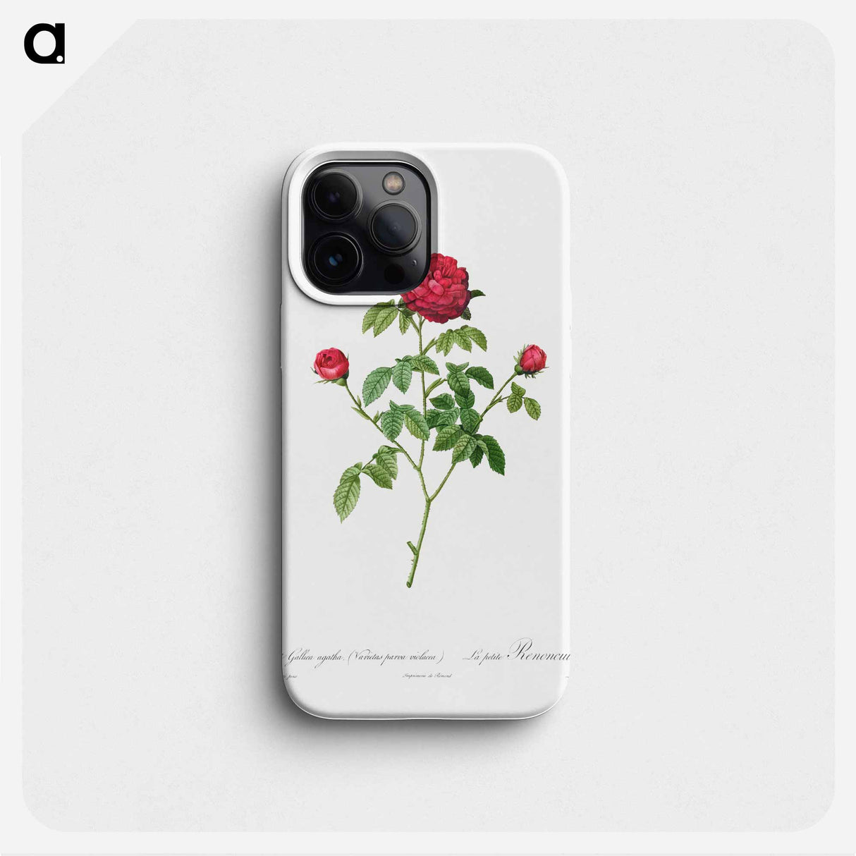 Provence or French Rose - Pierre Joseph Redouté Phone Case.