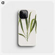 2-6_Plants-with-Colored-Foliage_phone