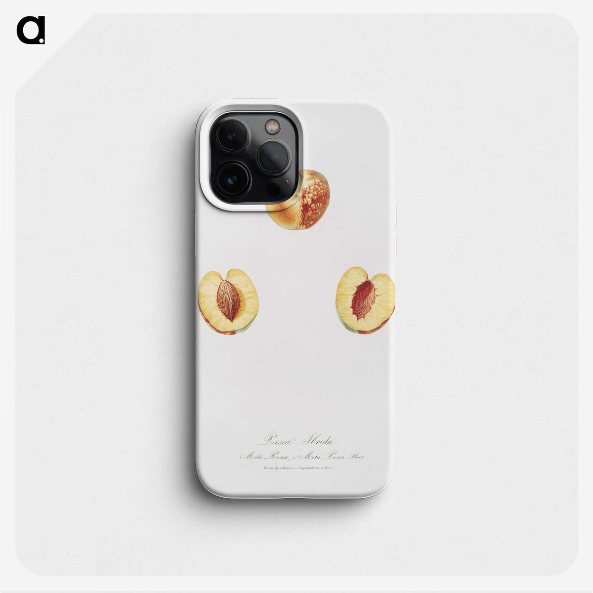 2-6_Pomona-Italiana_phone
