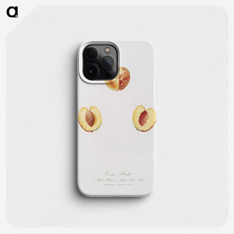 2-6_Pomona-Italiana_phone