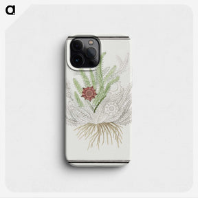2-6_Robert-Jacob-Gordon_phone
