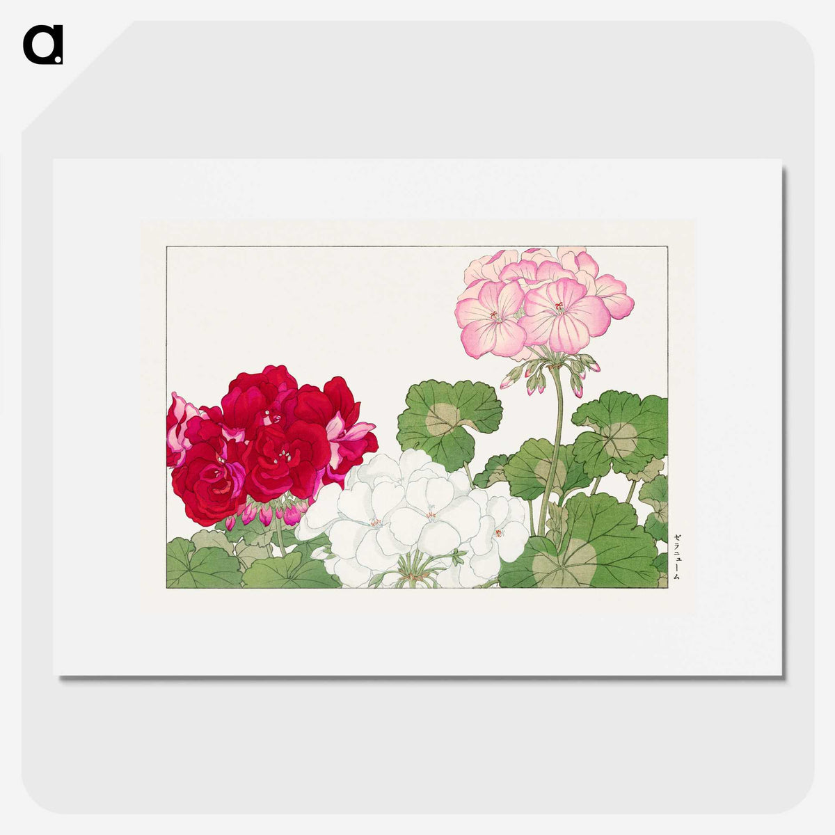 2-6_Seiyo-Soka-Zufu_picture