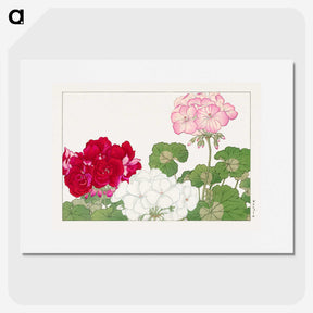 2-6_Seiyo-Soka-Zufu_picture
