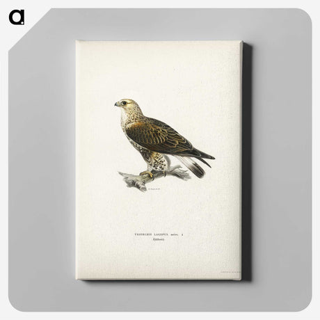 2-6_Svenska-Faglar_canvas