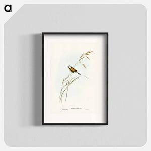 オーストラリア