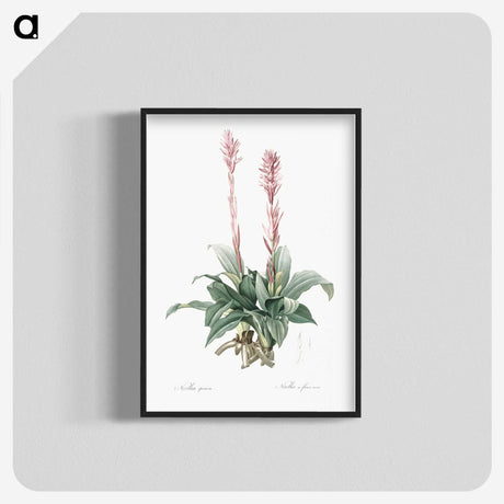 2-6_The-Lilies_blk-crop