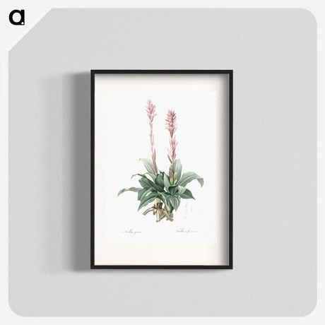 2-6_The-Lilies_blk