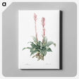 2-6_The-Lilies_canvas