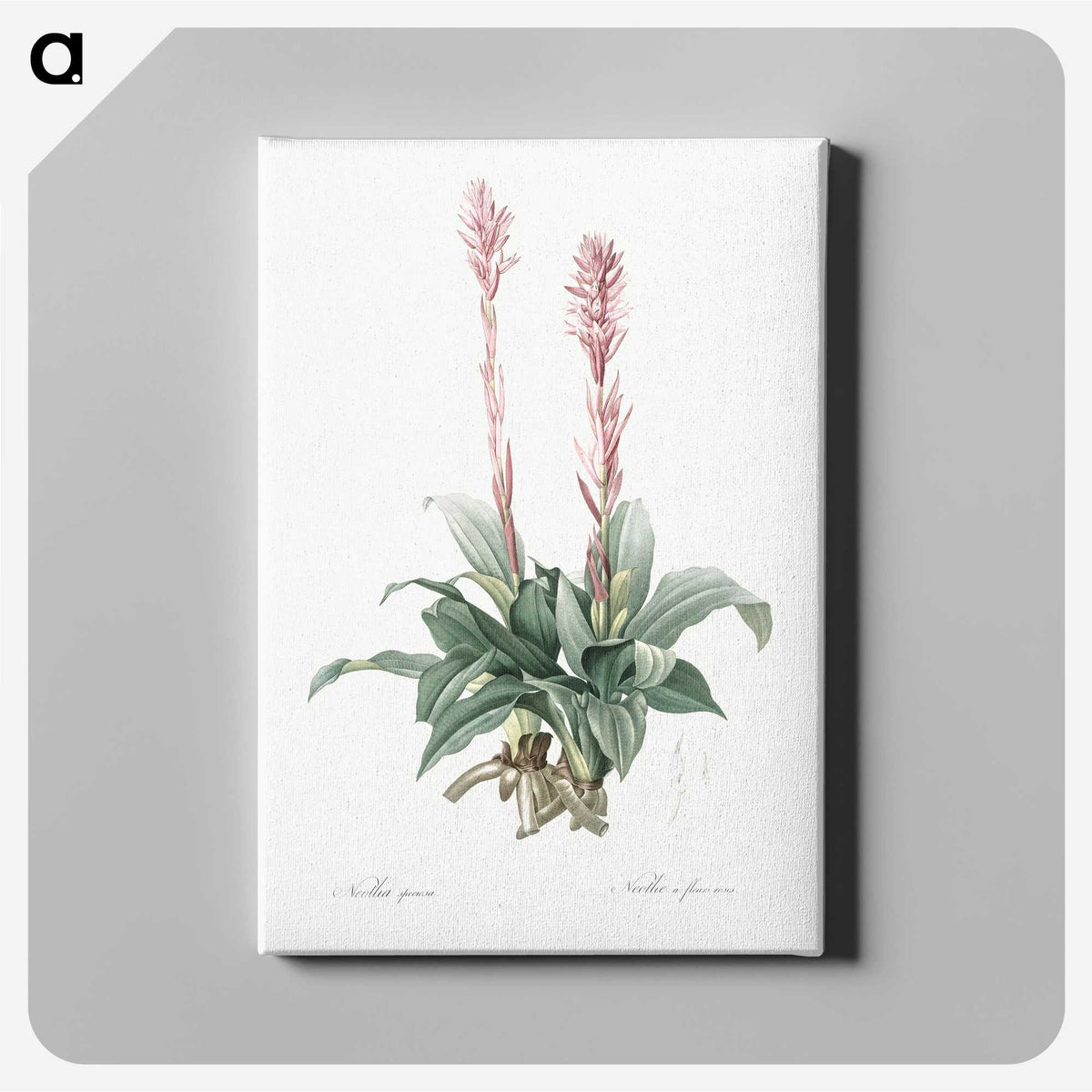 2-6_The-Lilies_canvas