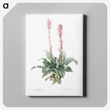 2-6_The-Lilies_canvas