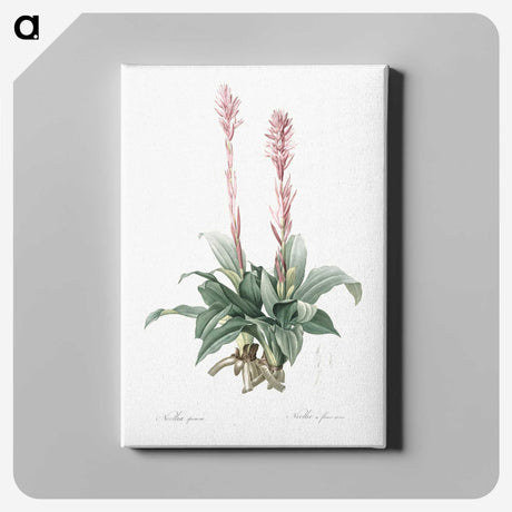 2-6_The-Lilies_canvas