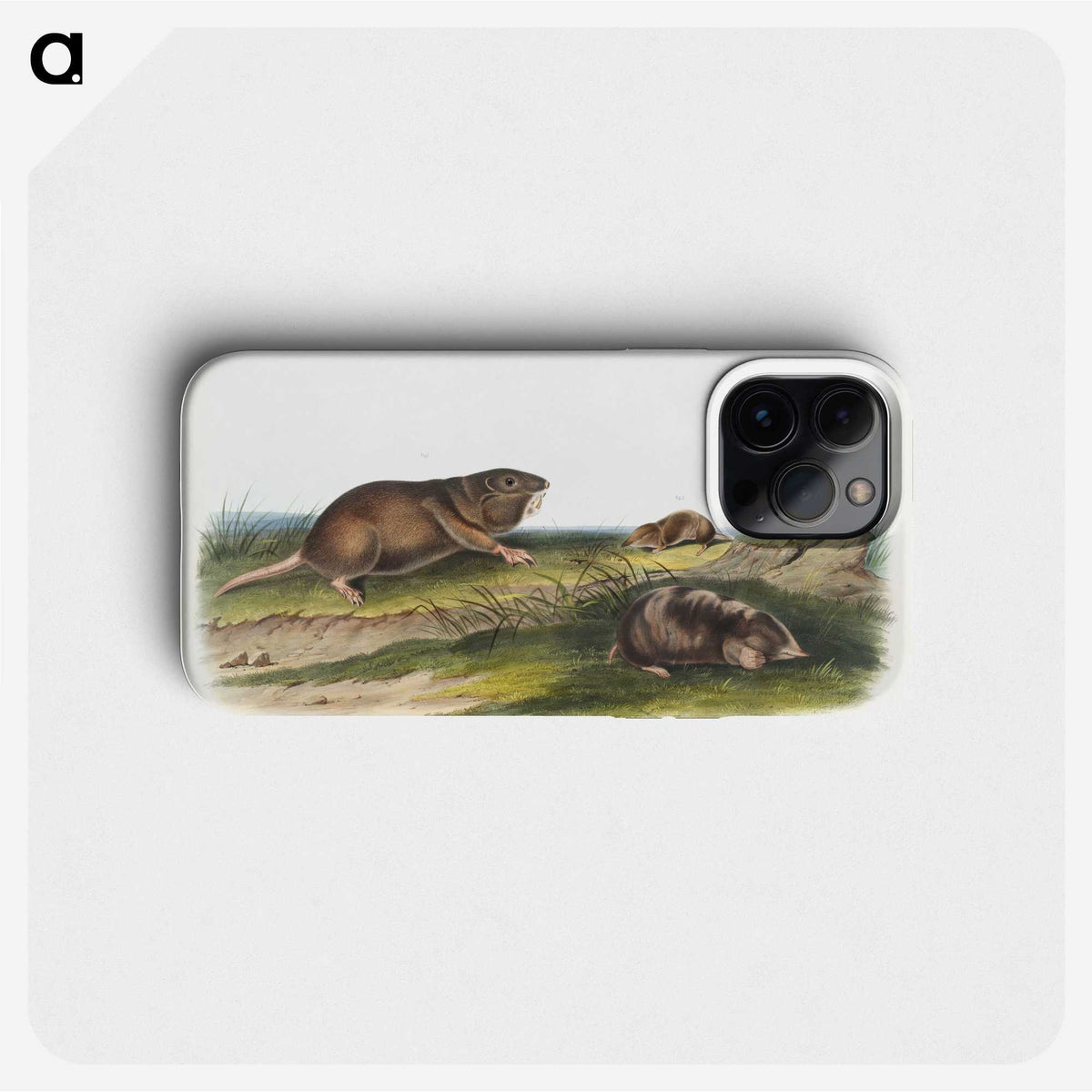 2-6_The-Viviparous-Quadrupeds_phone