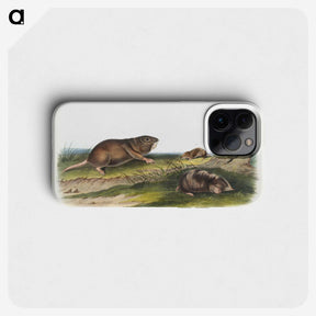 2-6_The-Viviparous-Quadrupeds_phone