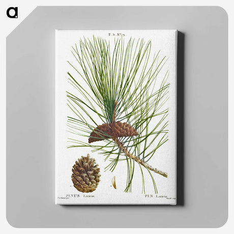 2-6_Treatise-on-Trees-and-Shrubs_canvas