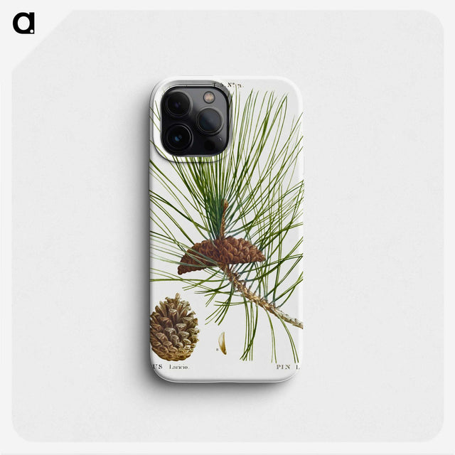 2-6_Treatise-on-Trees-and-Shrubs_phone