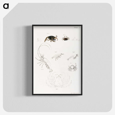 2-6_Zoology-of-New-York_blk-crop