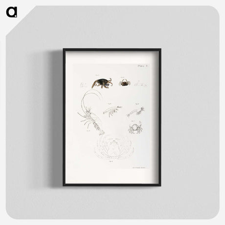 2-6_Zoology-of-New-York_blk