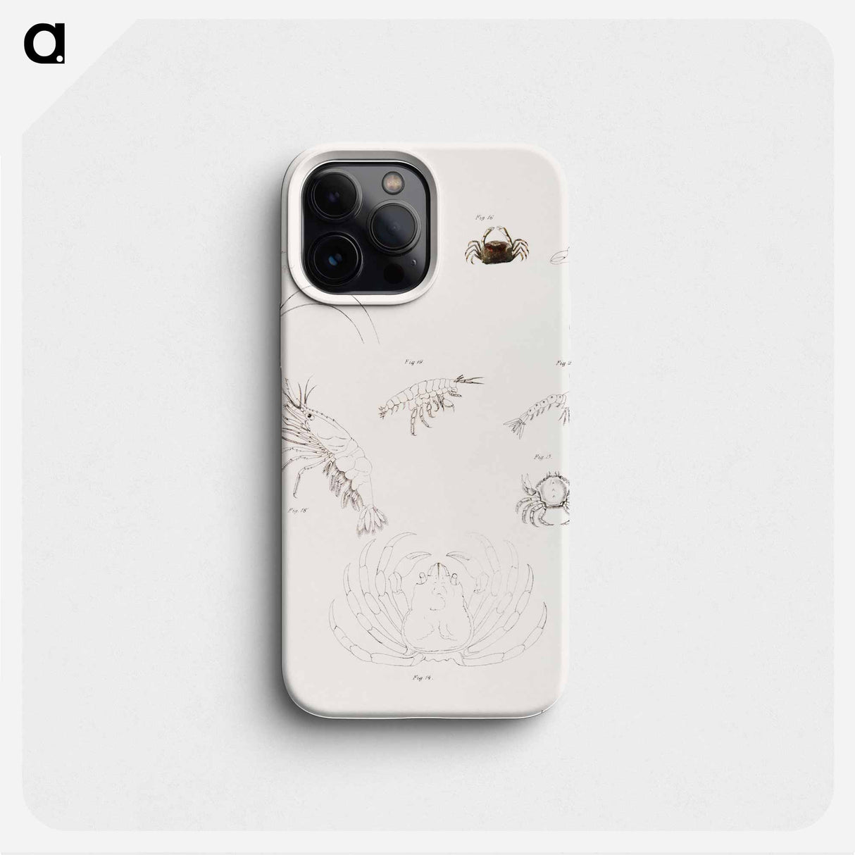 Different types of sea creatures illustration from Zoology of New York by James Ellsworth De Kay - ニューヨークの動物学 Phone Case.