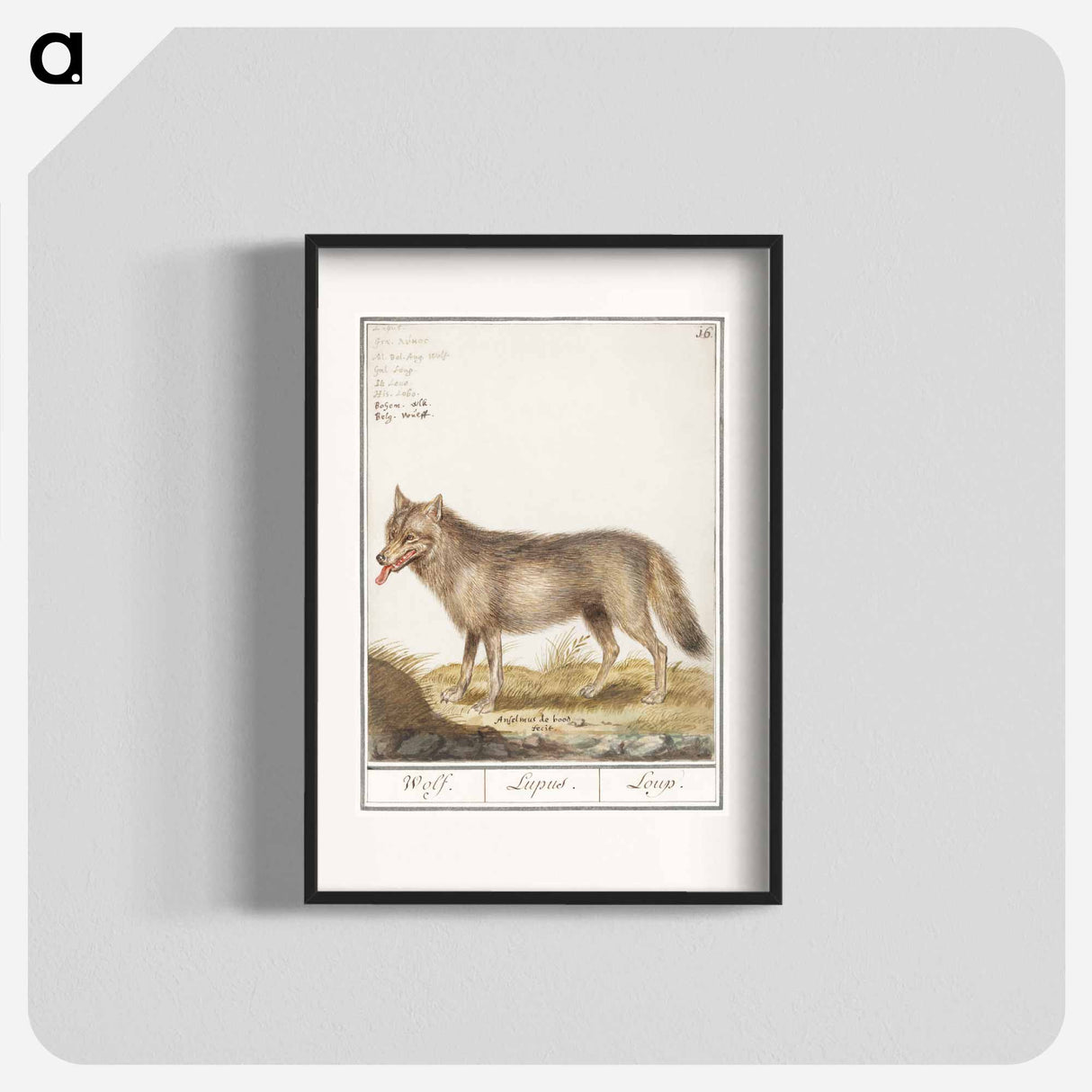 Wolf - アンセルムス ボエティウス デ ブート Poster.