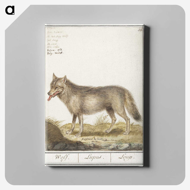 2-70_Anselmus-Boetius-de-Boodt_canvas