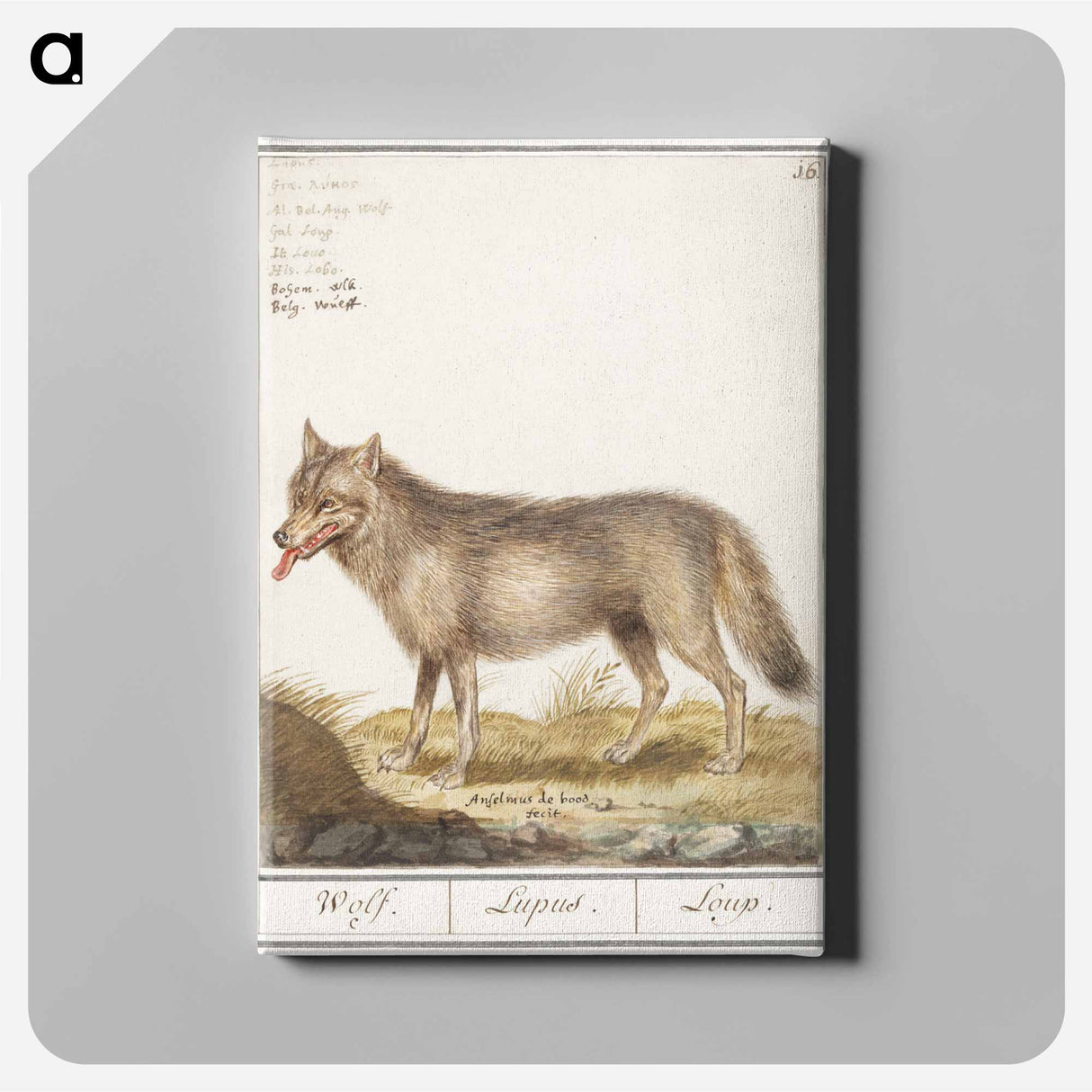 Wolf - アンセルムス ボエティウス デ ブート Canvas.