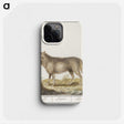 2-70_Anselmus-Boetius-de-Boodt_phone