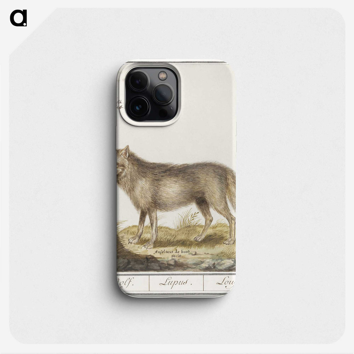 2-70_Anselmus-Boetius-de-Boodt_phone