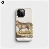 Wolf - アンセルムス ボエティウス デ ブート Phone Case.