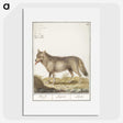2-70_Anselmus-Boetius-de-Boodt_picture