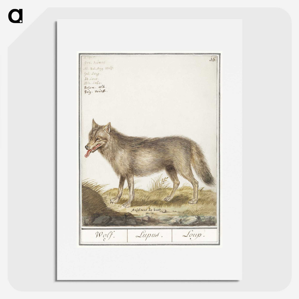 2-70_Anselmus-Boetius-de-Boodt_picture