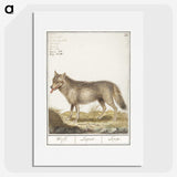 2-70_Anselmus-Boetius-de-Boodt_picture