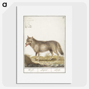 2-70_Anselmus-Boetius-de-Boodt_picture