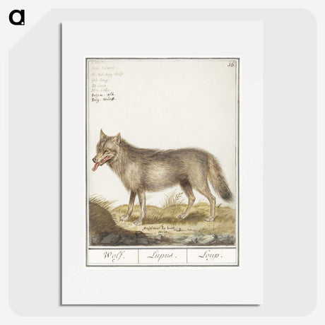 2-70_Anselmus-Boetius-de-Boodt_picture