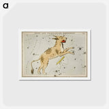 アートポストカード-Sidney Hall’s astronomical chart illustration of Lynx and the Telescopium Herschilii - アンティーク地図 Postcard.
