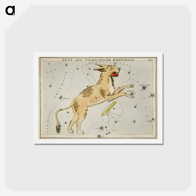 アートポストカード-Sidney Hall’s astronomical chart illustration of Lynx and the Telescopium Herschilii - アンティーク地図 Postcard.