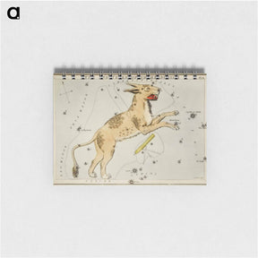 アートメモ帳-Sidney Hall’s astronomical chart illustration of Lynx and the Telescopium Herschilii - アンティーク地図 Memo.