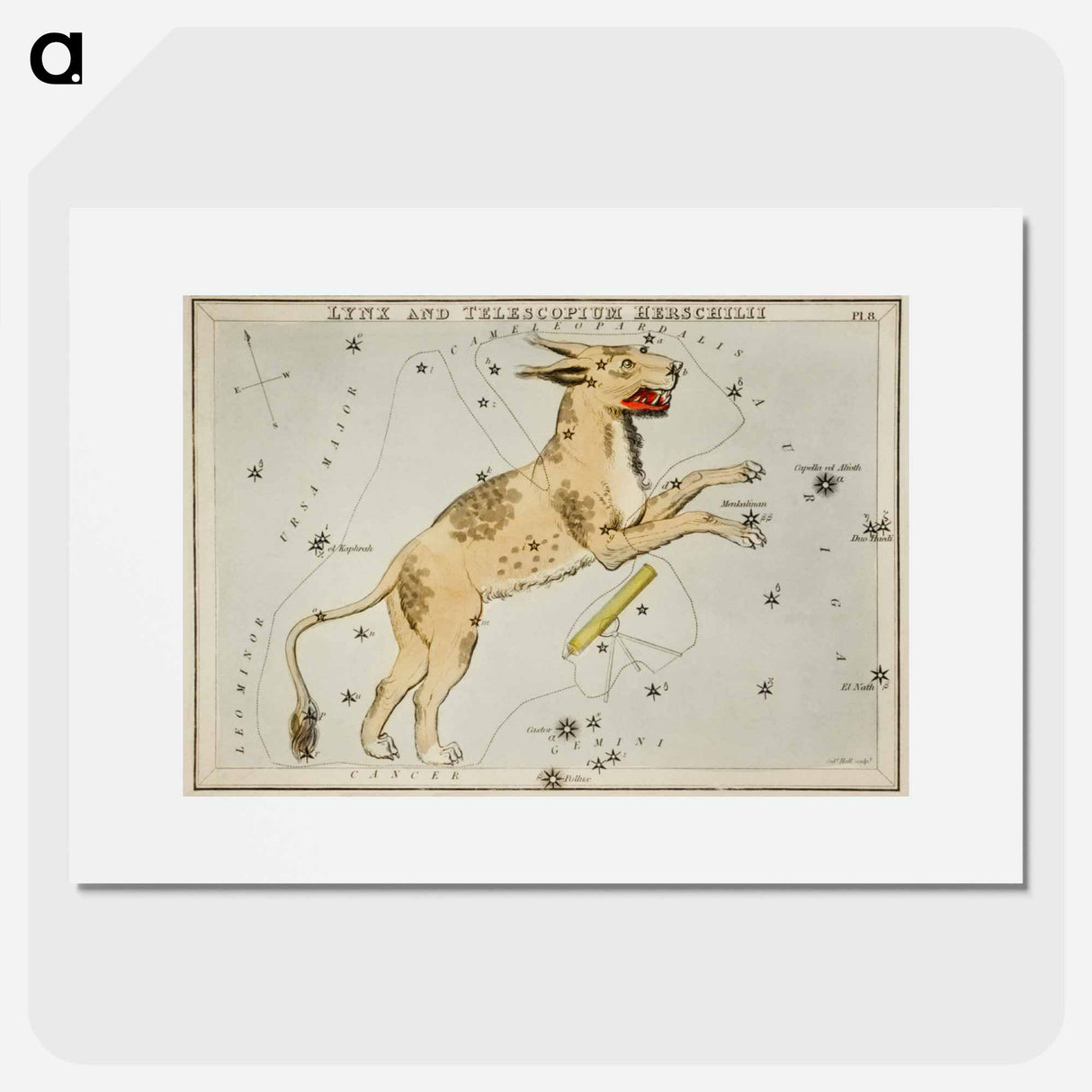 Sidney Hall’s astronomical chart illustration of Lynx and the Telescopium Herschilii - アンティーク地図 Poster.
