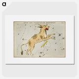 Sidney Hall’s astronomical chart illustration of Lynx and the Telescopium Herschilii - アンティーク地図 Poster.