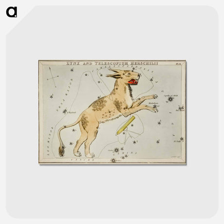 アートポストカード-Sidney Hall’s astronomical chart illustration of Lynx and the Telescopium Herschilii - アンティーク地図 Postcard.