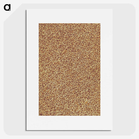 2-70_British-Library_picture