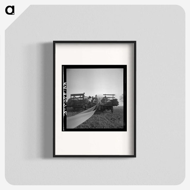 2-70_Dorothea-Lange_blk