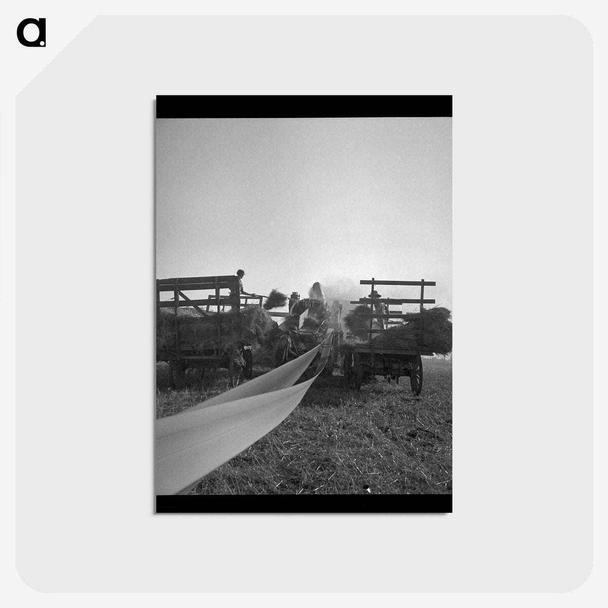 2-70_Dorothea-Lange_postcard