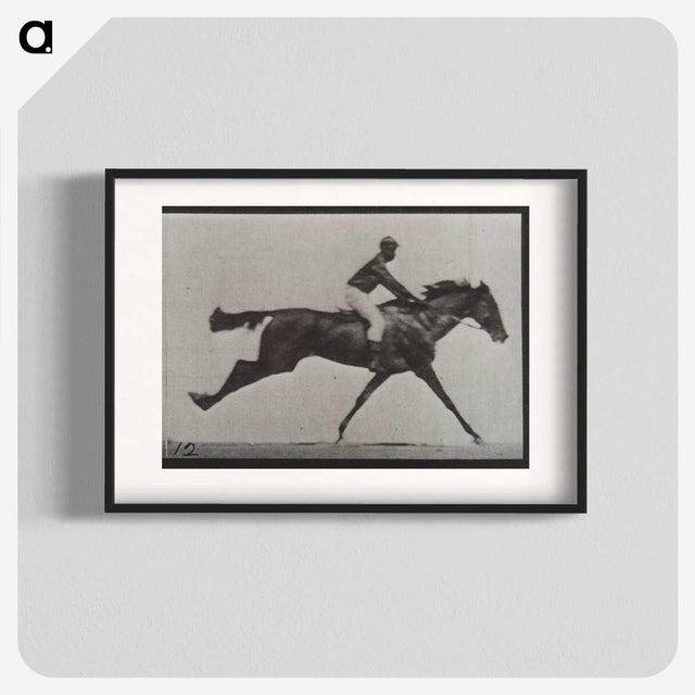 2-70_Eadweard-Muybridge_blk