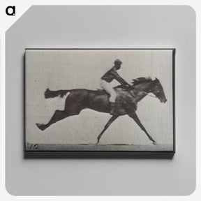 2-70_Eadweard-Muybridge_canvas