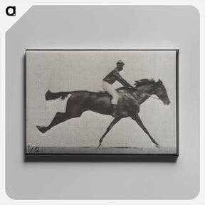 アートパネル-Galloping Horse and Rider
 - エドワード マイブリッジ Canvas.