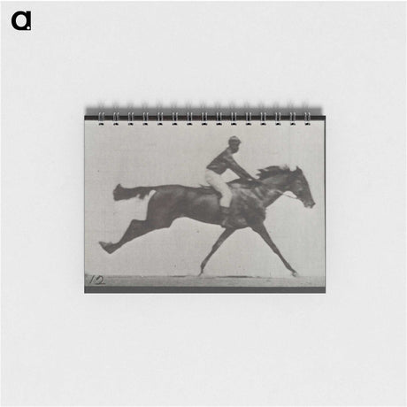 2-70_Eadweard-Muybridge_memo